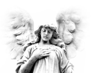 angel header image