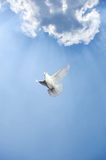 Angel Communication