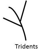 Tridents