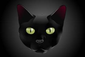 Black Cat