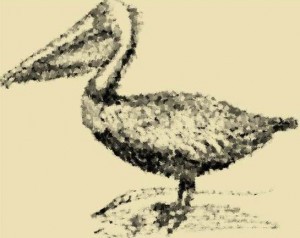 Pelican animal totem