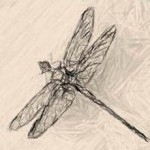 Dragonfly animal totem