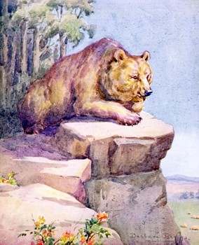 Bear animal totem
