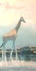 Giraffe animal totem