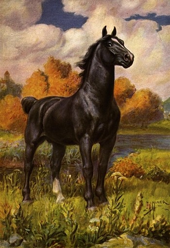 Horse animal totem