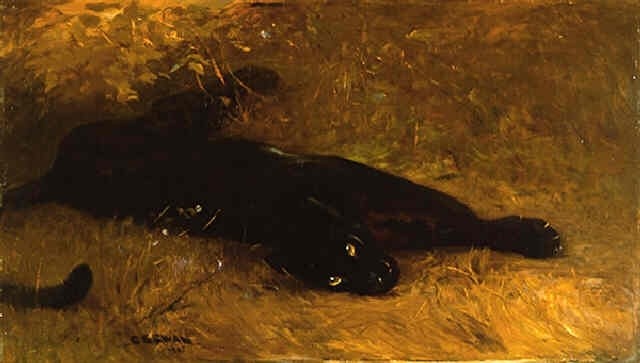 Panther animal totem