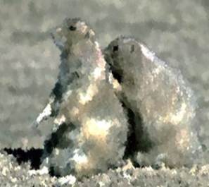 Prairie Dog animal totem
