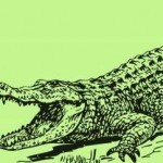 Alligator/Crocodile animal totem