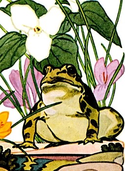 Frog animal totem