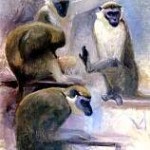 Monkey