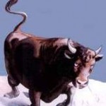 Ox