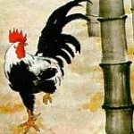 Rooster