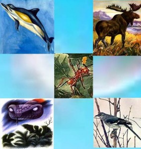 Animal Totems | Animal Spirit Guides | Meanings and Symbolism |